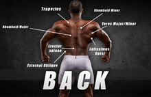 Load image into Gallery viewer, Max Muscle Extreme - The Complete Training Guide
